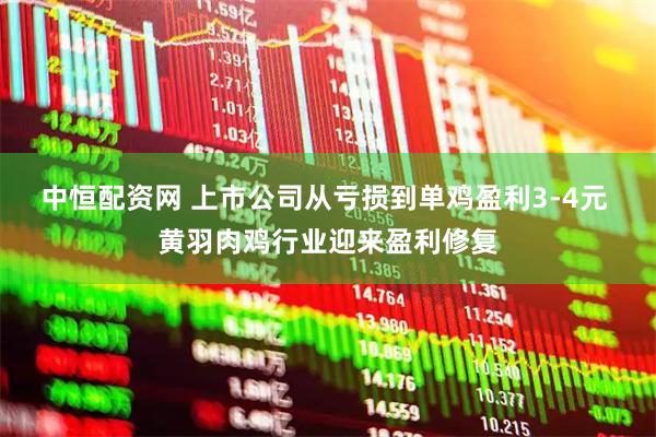 中恒配资网 上市公司从亏损到单鸡盈利3-4元 黄羽肉鸡行业迎来盈利修复