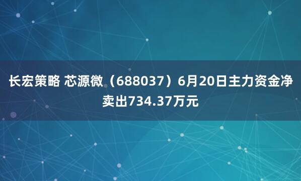 长宏策略 芯源微（688037）6月20日主力资金净卖出734.37万元