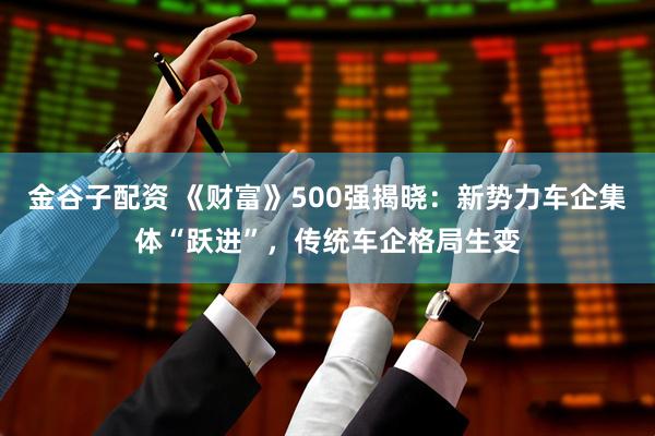 金谷子配资 《财富》500强揭晓：新势力车企集体“跃进”，传统车企格局生变